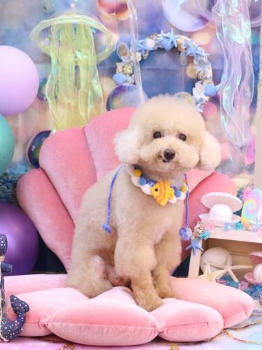 20240806クーくん